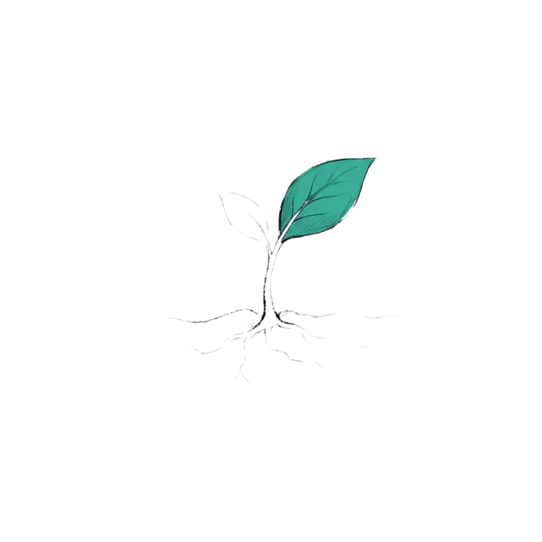 Planta creciendo — método orgánico de crecimiento